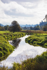 River or Creek in Lush Landscape