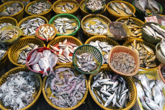 fresh fish and seafood market stall display in xiamen china