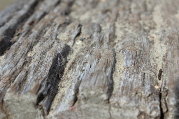 Holzstrucktur, Holz, Masserung, Oberfläche