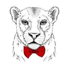 Portrait of a leopard with tie. Can be used for printing on T-shirts, flyers and stuff. Vector illustration