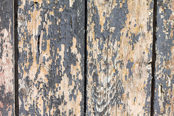texture of old wood