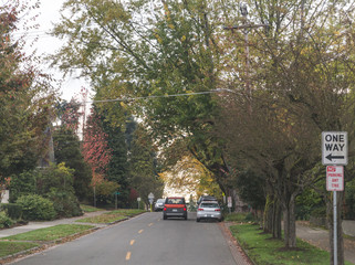 Suburban American Street in Fall