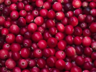 Ripe cranberries background - 176900149
