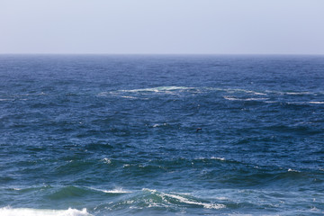Pacific Ocean Waves