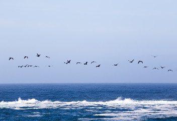 Ocean Waves on the Pacific Coast