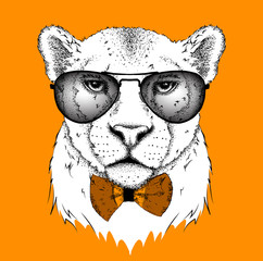Portrait of a leopard with tie and in the glasses. Can be used for printing on T-shirts, flyers and stuff. Vector illustration