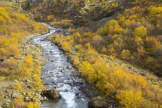 Colourfull Autumn Landscape With River 