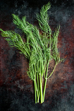 Dill