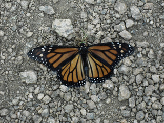 Sarett Nature Center - Benton Harbor MI