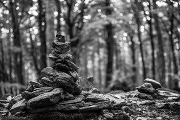 cairn nella foresta