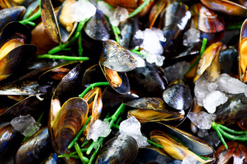 Mussels, molluscs, seaweed, sea plants, ice on old vintage rustic metal background. Top view, copy space