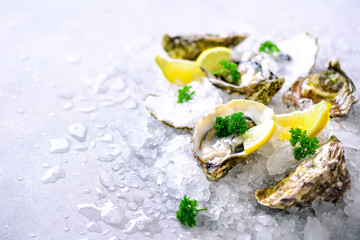 Fresh opened oysters, lemon, herbs, ice on concrete stone grey background. Top view, copy space