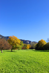 Landschaft mit Bäumen im Herbst