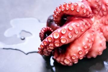 Boiled octopus on metal background with copy space