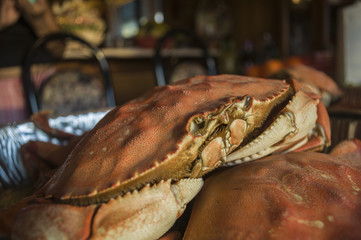 Dungeness crab feast for New Years Eve.