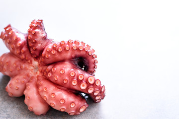 Boiled octopus on metal background with copy space