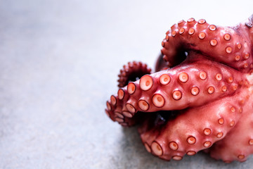 Boiled octopus on metal background with copy space