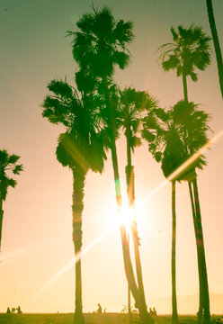 Sunny sunset on Venice Beach. Los Angeles landmark, California