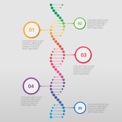 Abstract infographic DNA ,can be used for workflow layout, diagram, number options