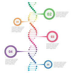Abstract infographic DNA ,can be used for workflow layout, diagram, number options - obrazy, fototapety, plakaty