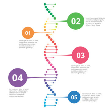 Abstract infographic DNA ,can be used for workflow layout, diagram, number options