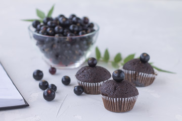 black currant in a glass vase on the table notebook summer concrete