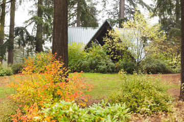 Fototapeta na wymiar A-Frame Building in Forest Park in Autumn