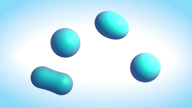 Cell proliferation, cleavage, fission, dna