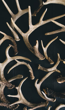 Sheds