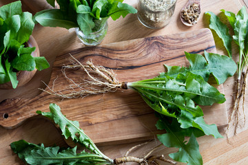 Dandelion root with leaves on a wooden cutting board