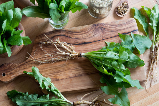Fototapeta Dandelion root with leaves on a wooden cutting board