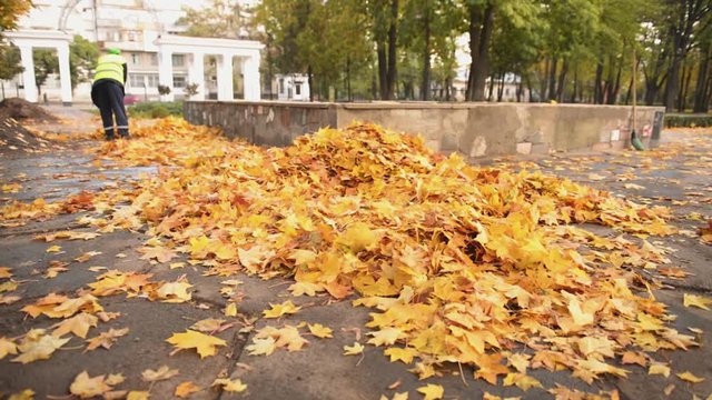 Female janitor in uniform sweeping fallen leaves in park, low-paid job, crisis