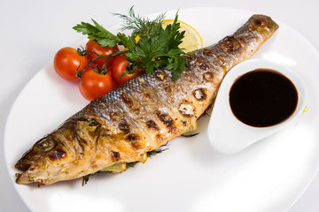 fish on isolated white background