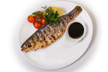 fish on isolated white background