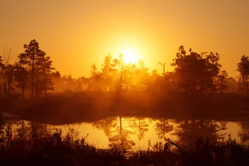 Fotobehang Mistige zonsopgang in het naaldbos boven de moerassen © Krafla