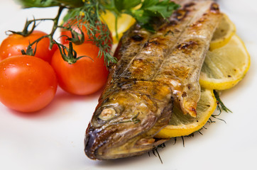 fish on isolated white background