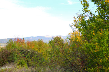 Nature in Hungary Dunabogdany