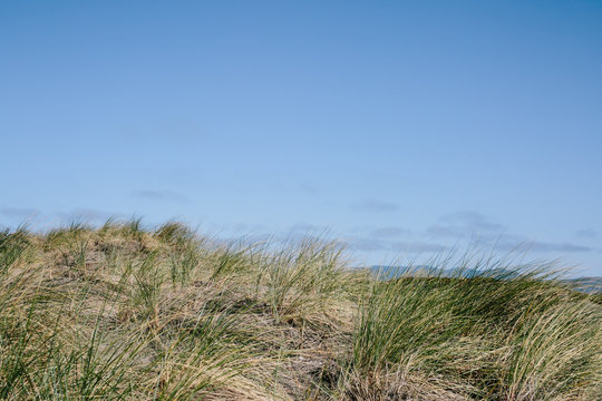 Flat blue ocean with big beach in California