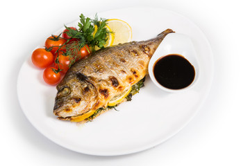 fish on isolated white background