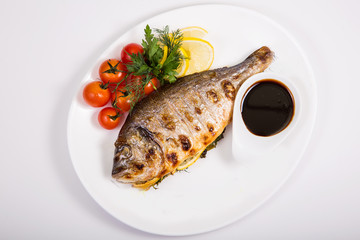 fish on isolated white background