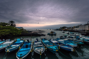 Galapagos Islands - August 23, 2017: Harbor of Puerto Ayora in Santa Cruz Island, Galapagos Islands, Ecuador
