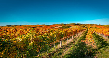 Weinherbst in Österreich © defpics