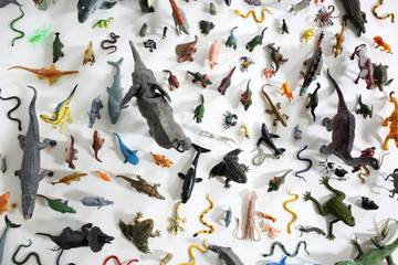 Colorful toy animal collection