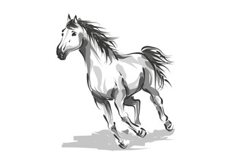Naklejka na ściany i meble Vector digital drawing horse