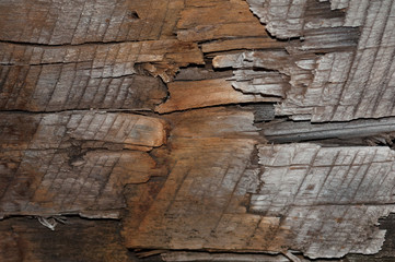 Black wood texture or wooden background with grey wood
