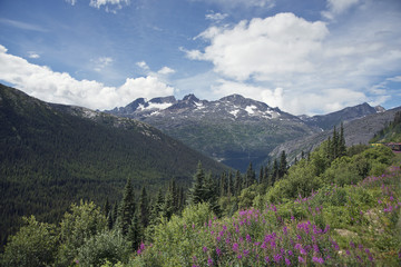 The scenery along the White Pass,Alaska
