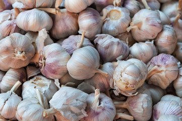 garlic, Fresh garlic - Red garlic, Garlic group background, Garlic cloves background