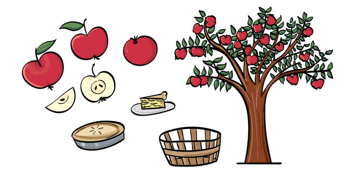 Assorted Apples, an Apple Tree and Apple Pie