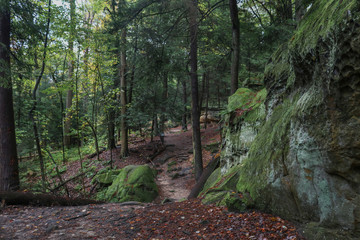 The Ledges Trail, Cuyahoga Valley National Park, Ohio