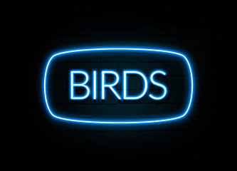 Birds  - colorful Neon Sign on brickwall
